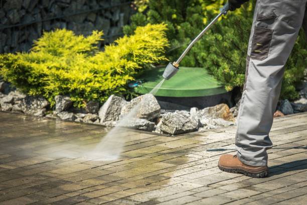 Best House Exterior Washing  in Loudonville, NY